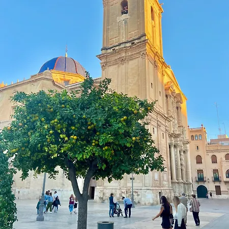 Casa Del Reina Torrevieja